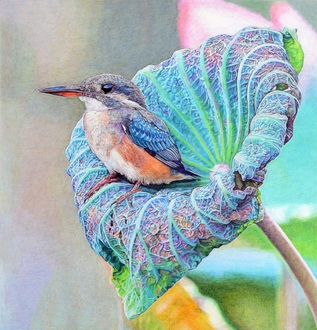 Bird sitting on lotus leaf